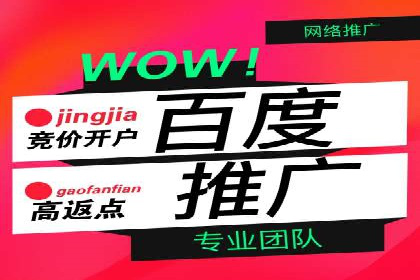 轻松掌握百度包年竞价：成功案例展示